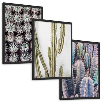 Zestaw obrazy w ramie, plakaty - kaktusy, rośliny, kolce - rama czarna
