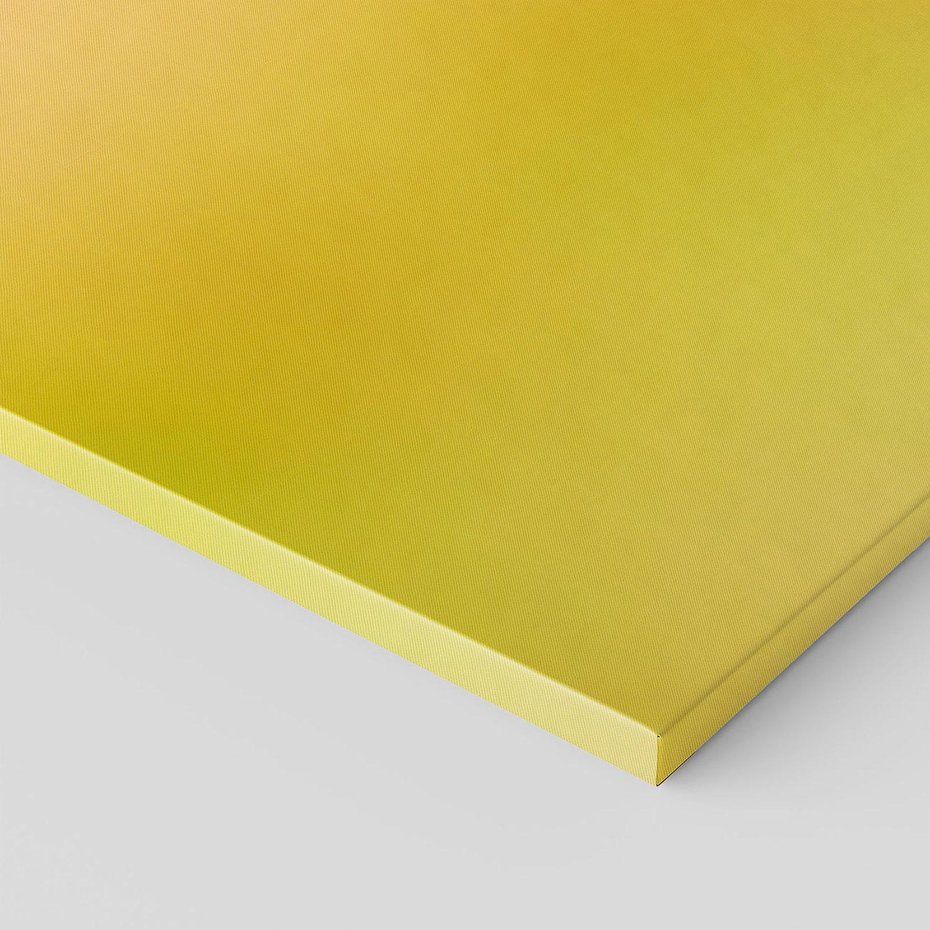 Obraz na płótnie - ptak, zimorodek, natura