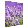 Obraz na płótnie - lawenda, kwiaty, fioletowy