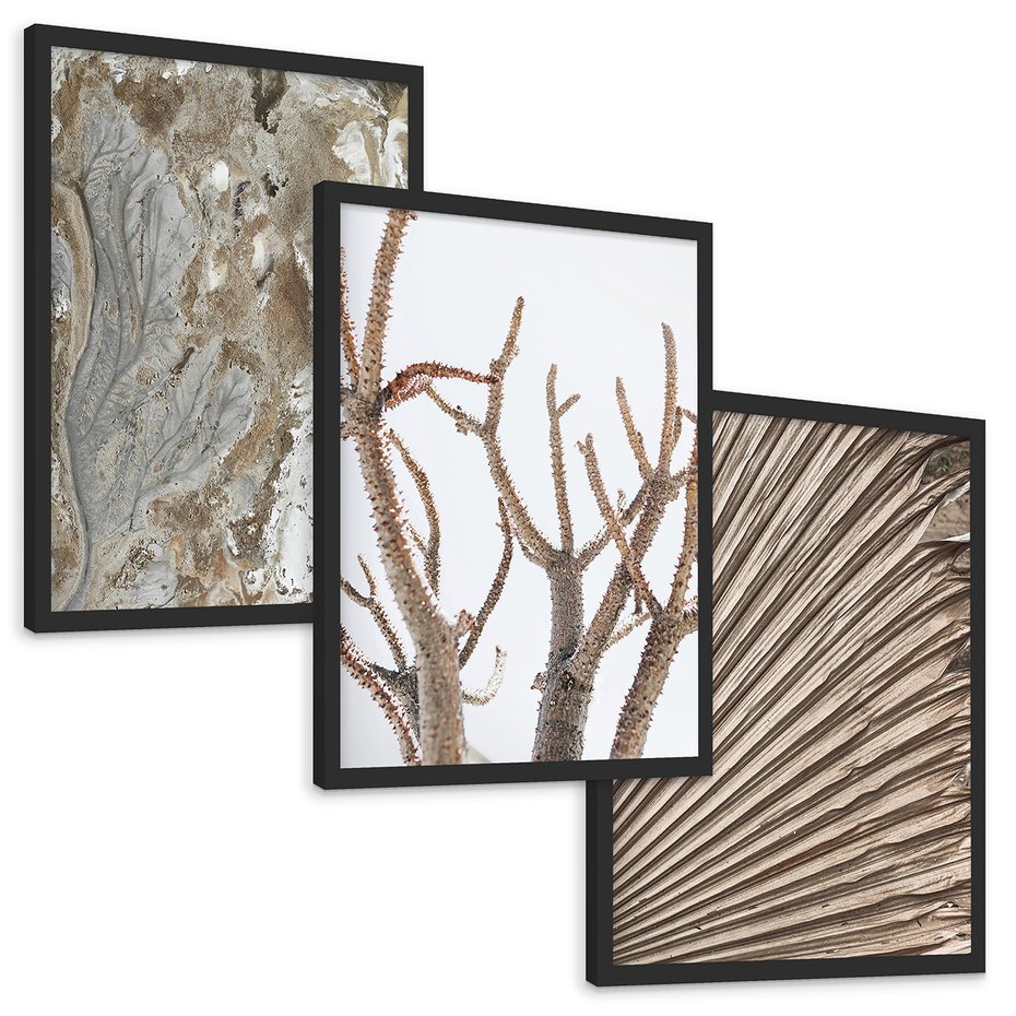 Zestaw obrazy w ramie, plakaty - abstrakcja, roślina, natura - rama czarna