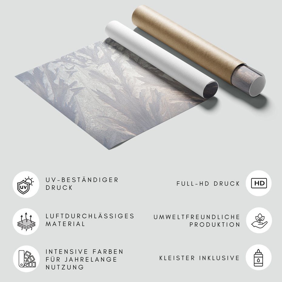 Fototapeta - loft, liście, szron