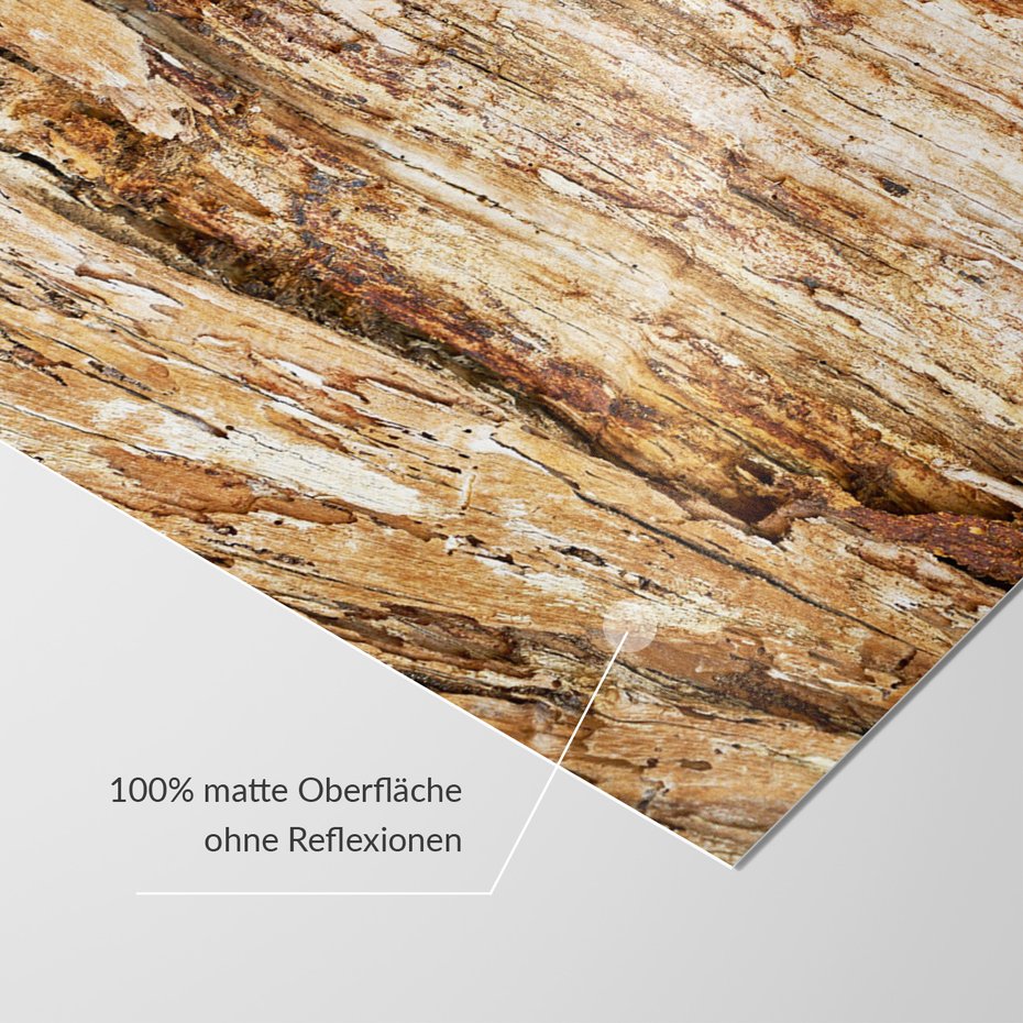 Fototapeta - drewno, kora, tekstura