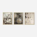 Zestaw obrazy w ramie, plakaty - makro, natura, roślina - rama drewno