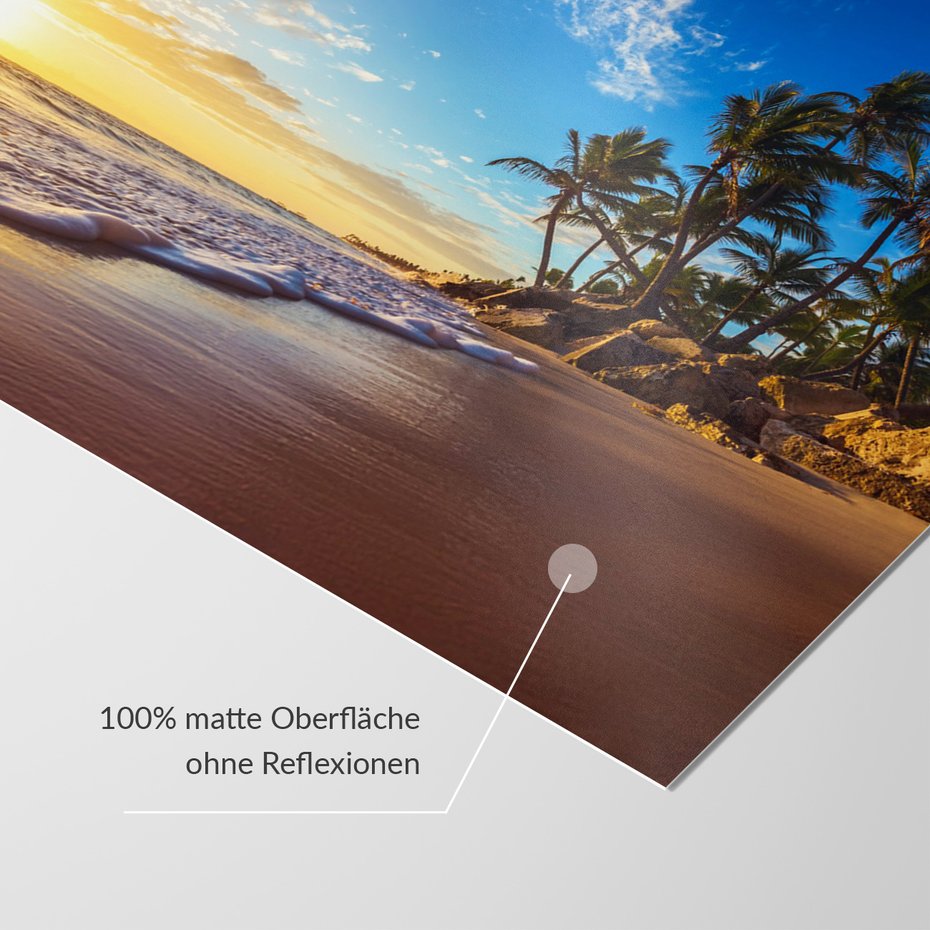 Fototapeta - plaża, morze, palmy