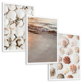 Zestaw obrazy w ramie, plakaty - muszle, plaża, woda - rama biała