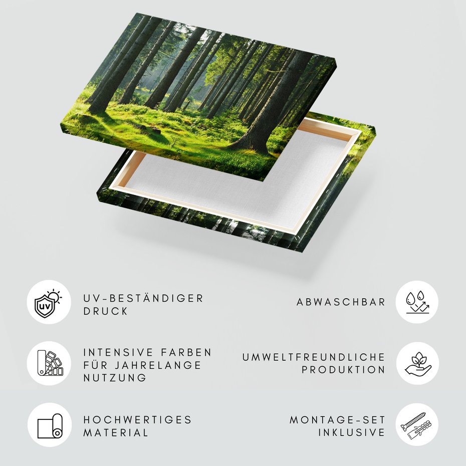 Obraz na płótnie - las, drzewa, natura