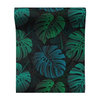 Tapeta - liście, monstera, tło