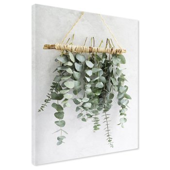 Obraz na płótnie - eukaliptus, dekoracja, liście