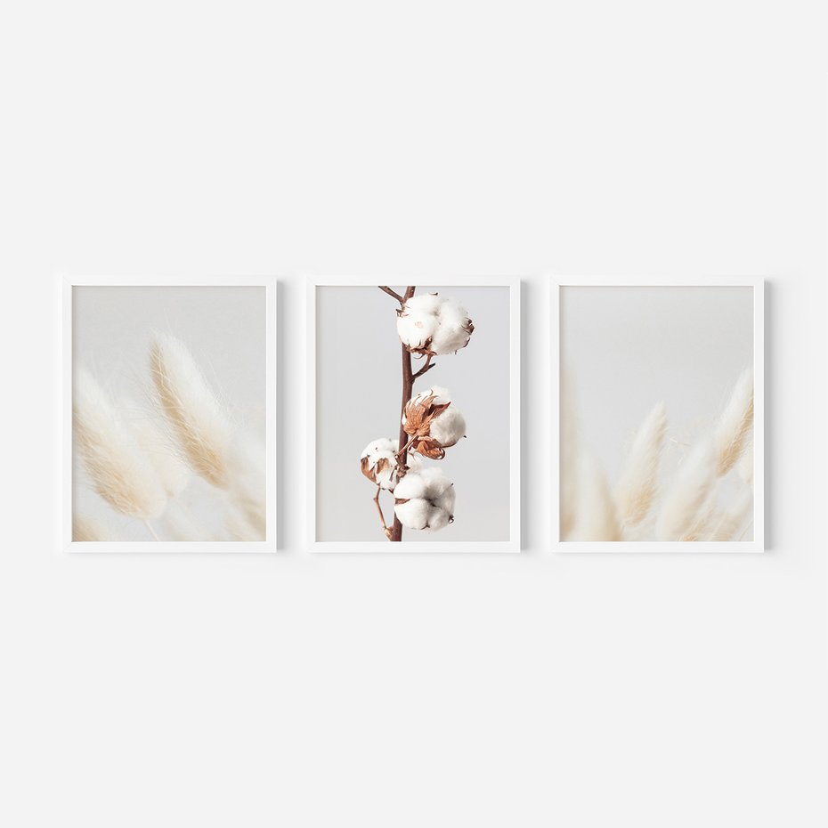 Zestaw obrazy w ramie, plakaty - bawełna, trawa, puszysty - rama biała