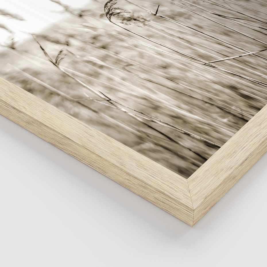 Zestaw obrazy w ramie, plakaty - natura, dom, rośliny - rama drewno