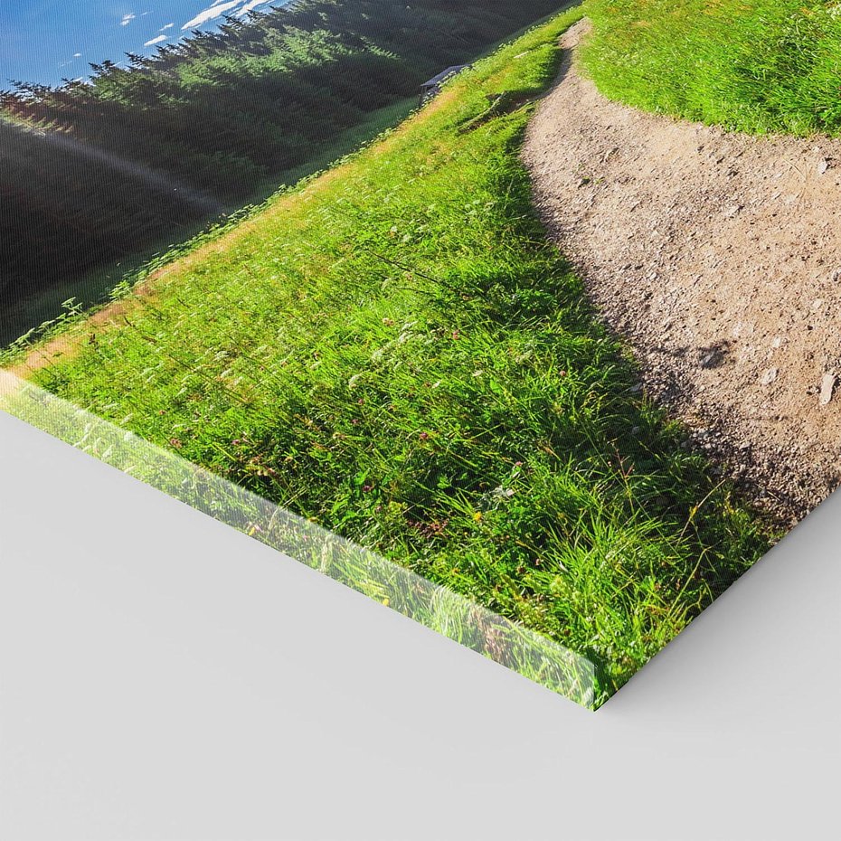 Obraz na płótnie - krajobraz, las, ścieżka