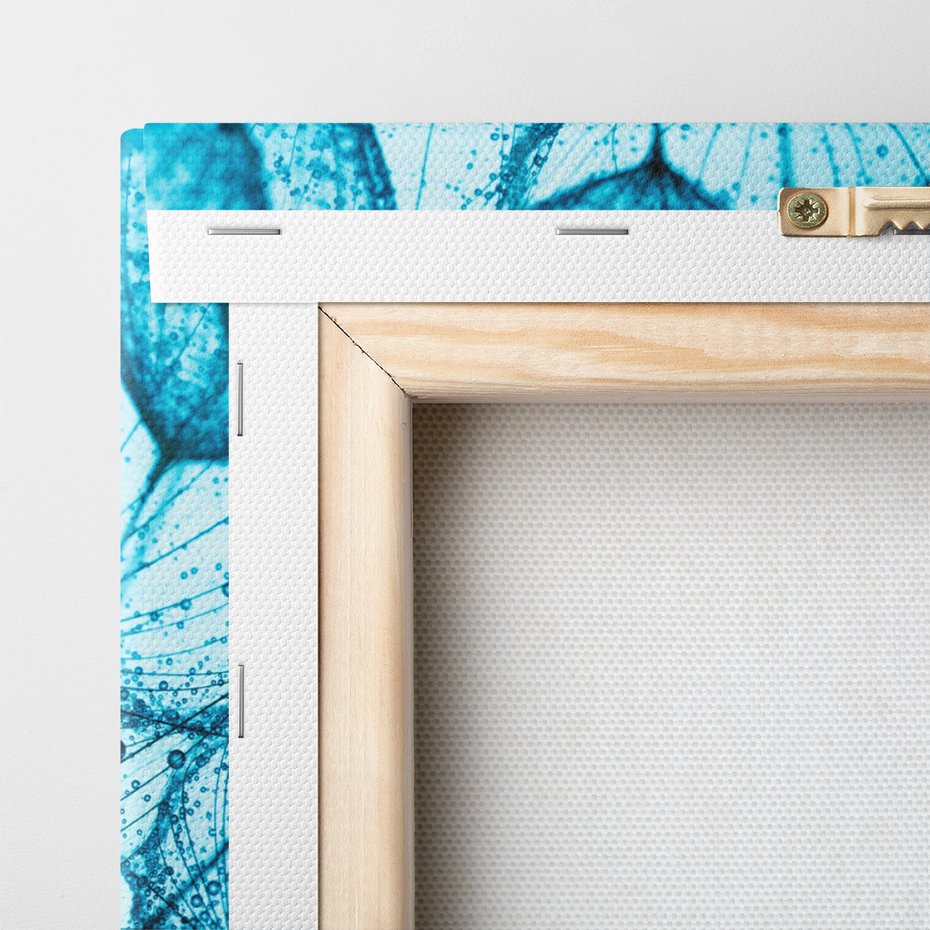 Obraz na płótnie - dmuchawiec, abstrakcja, natura