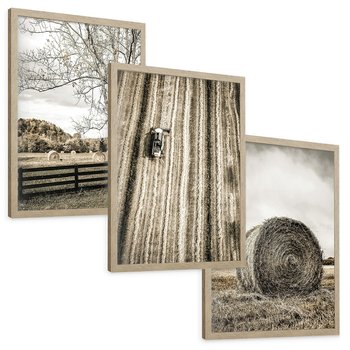 Zestaw obrazy w ramie, plakaty - wieś, pole, siano, - rama drewno