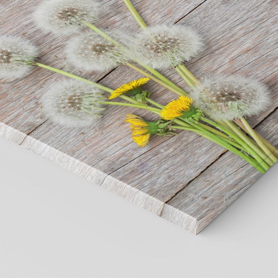 Obraz na płótnie - dmuchawce, kwiaty, drewno