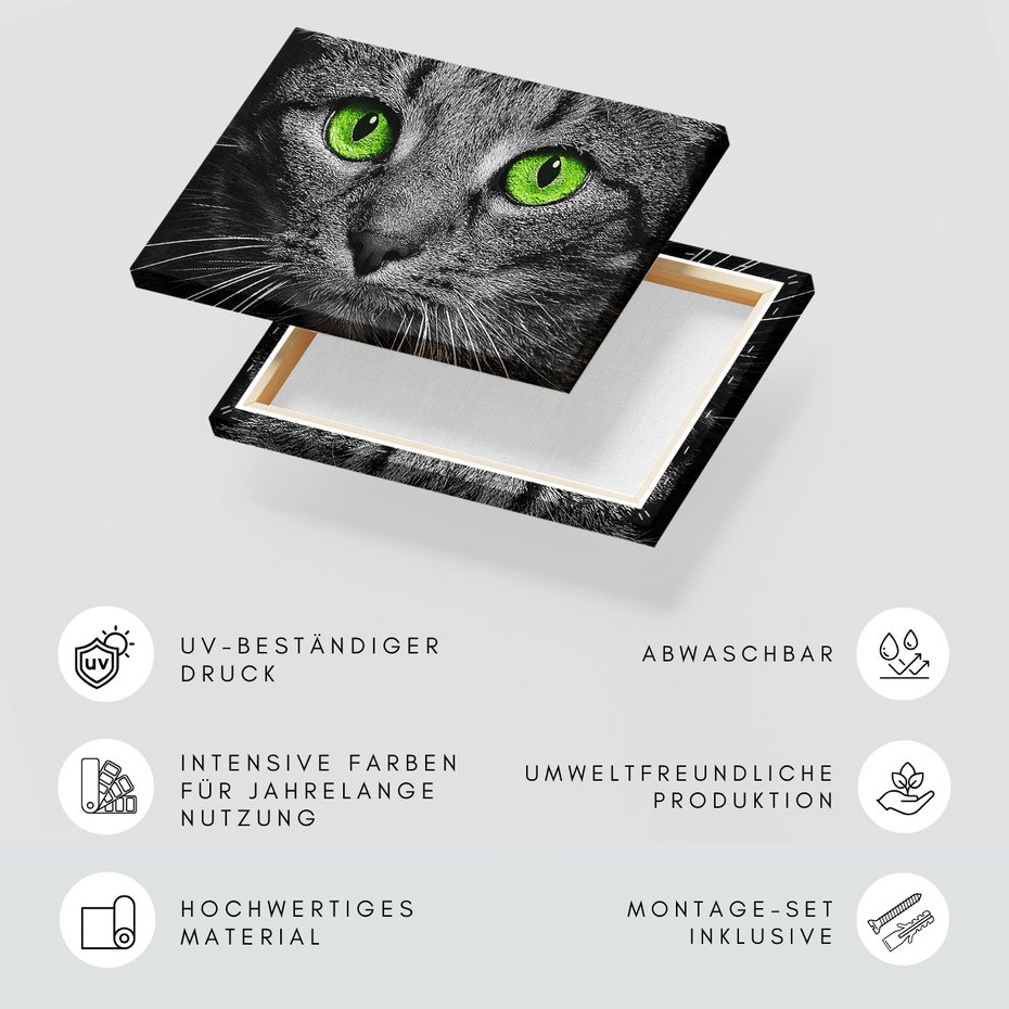 Obraz na płótnie - kot, oczy, zbliżenie