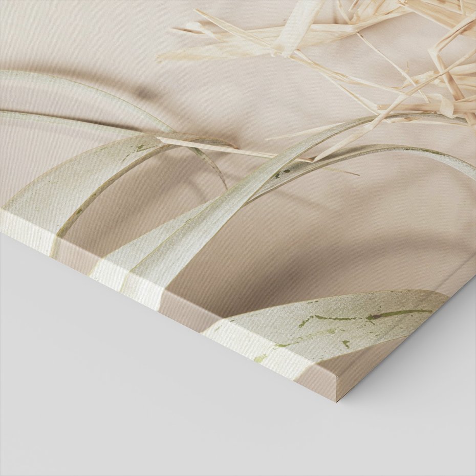 Obraz na płótnie - roślina, liście, kompozycja