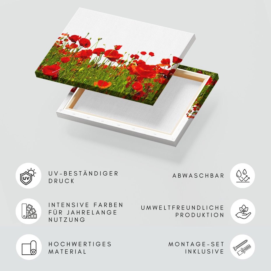 Obraz na płótnie - maki, kwiaty, lato