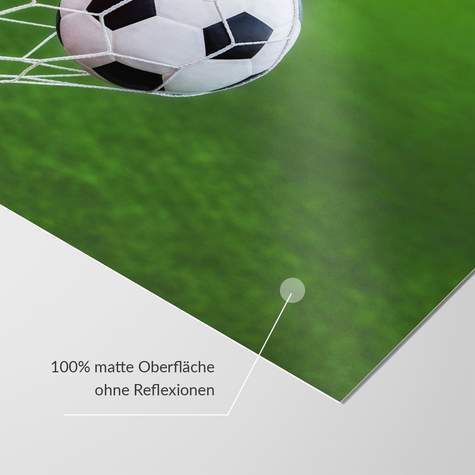 Fototapeta - piłka, siatka, gol