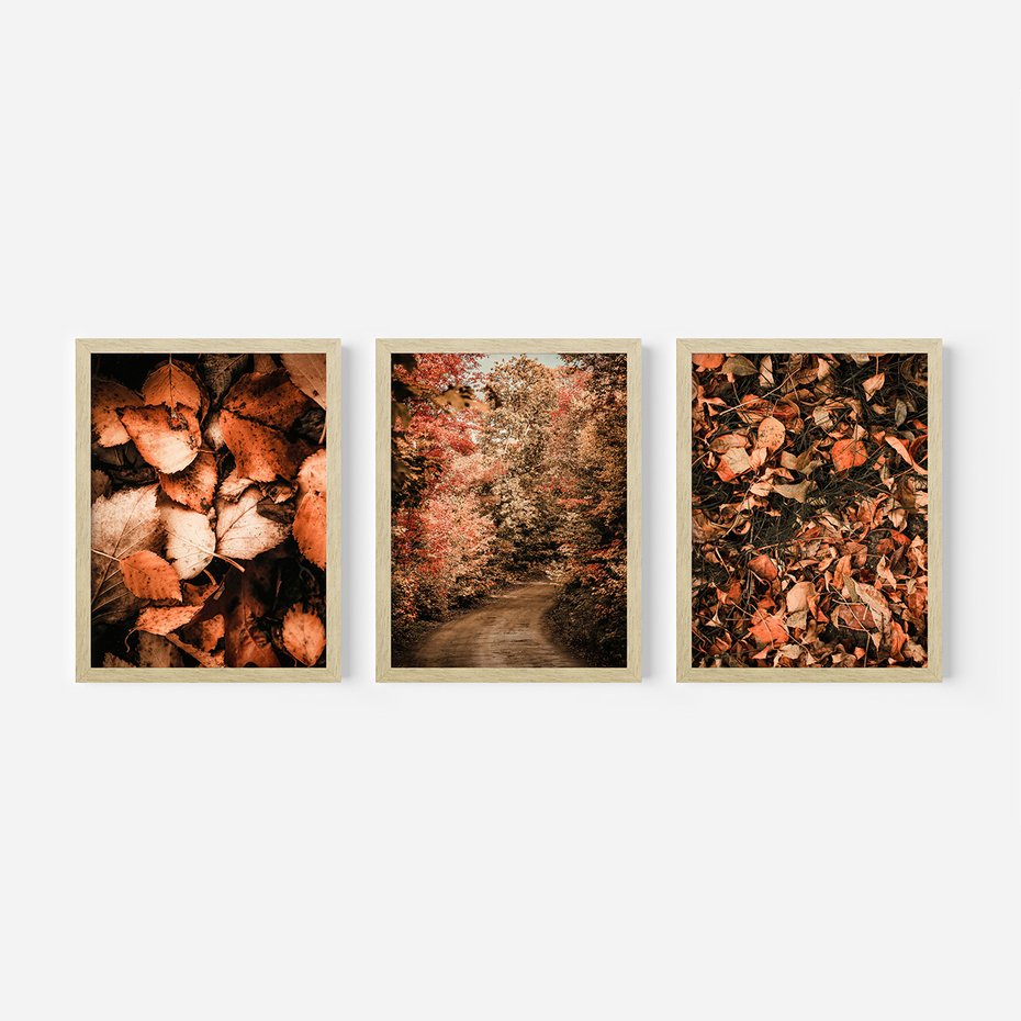 Zestaw obrazy w ramie, plakaty - liście,jesień,drzewa - rama drewno