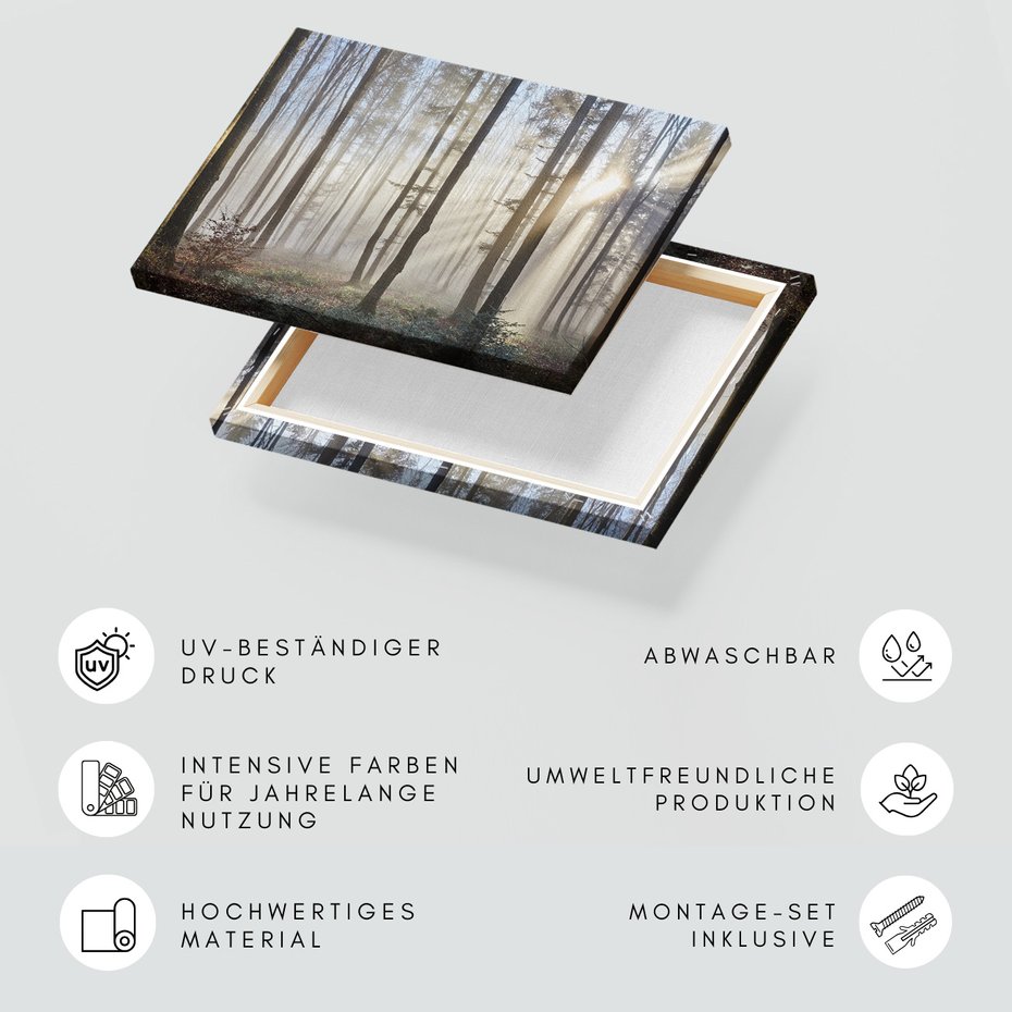 Obraz na płótnie - las, drzewa, mgła