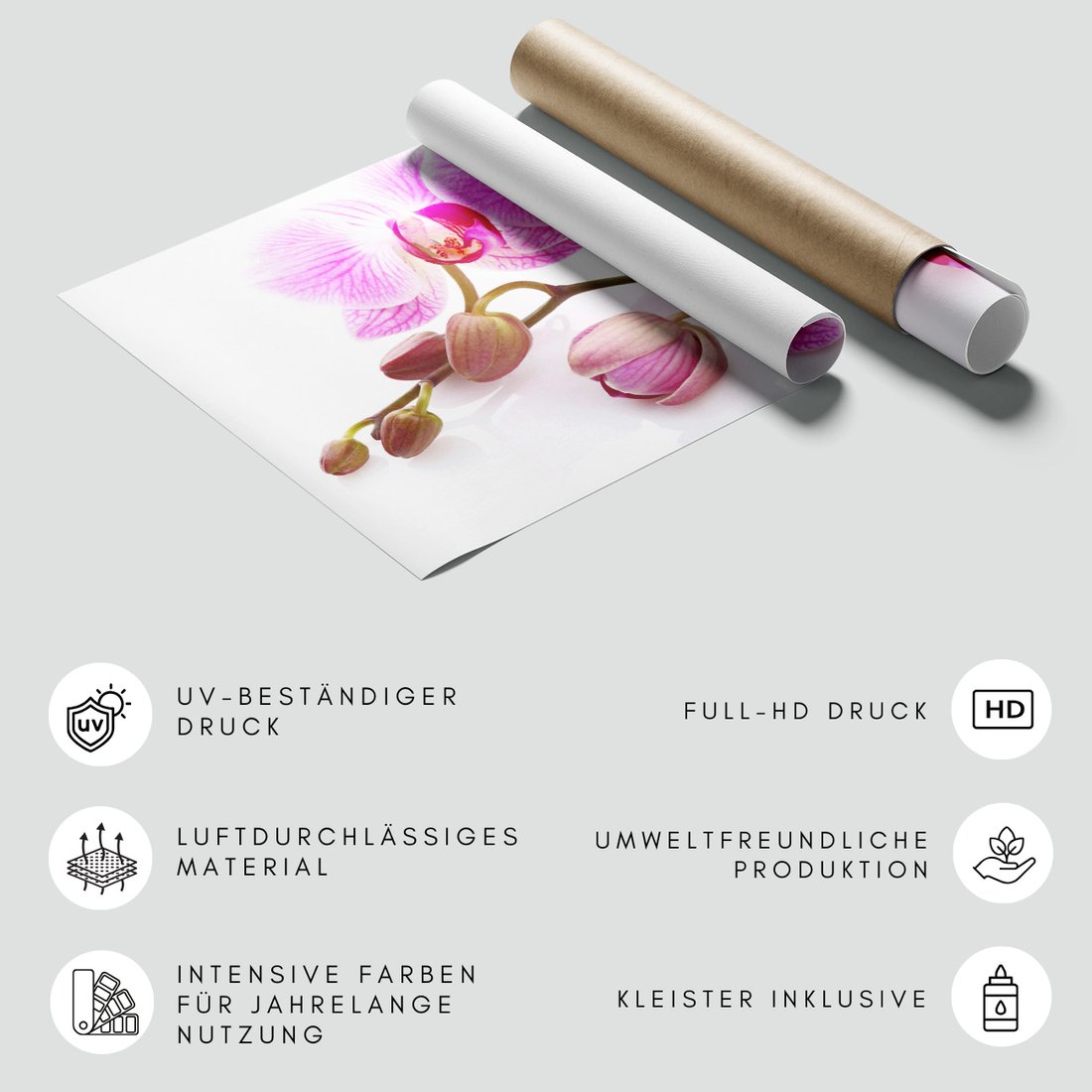 Fototapeta - kwiaty, orchidee, pąki