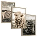 Zestaw obrazy w ramie, plakaty - wieś, zwierzęta, krajobraz - rama drewno