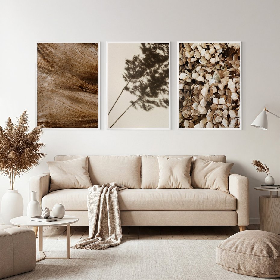Zestaw obrazy w ramie, plakaty - rośliny, cienie, susz - rama biała