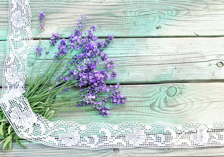 Fototapeta - lawenda, kwiaty, koronka