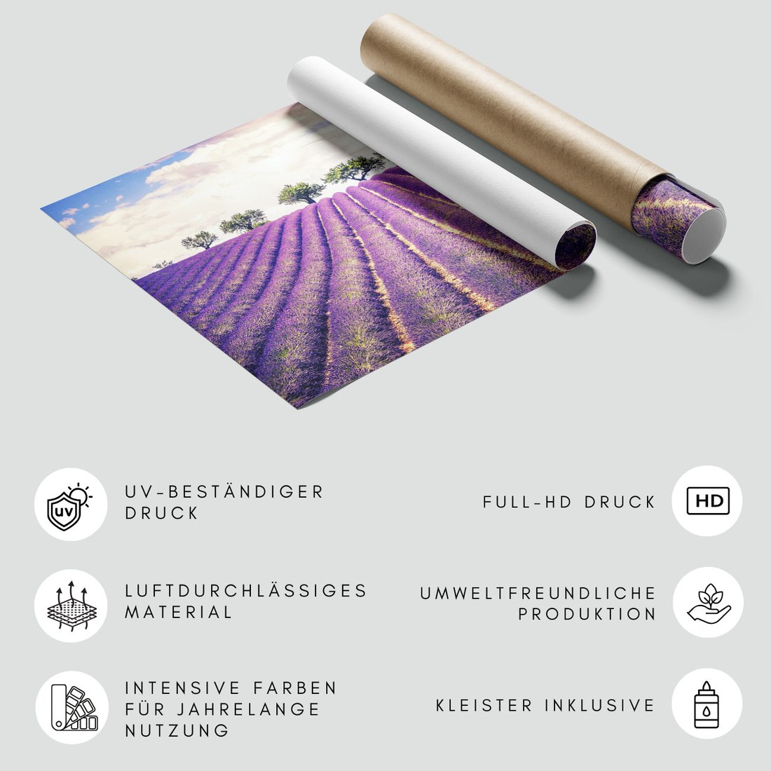 Fototapeta - lawenda, pole, drzewa