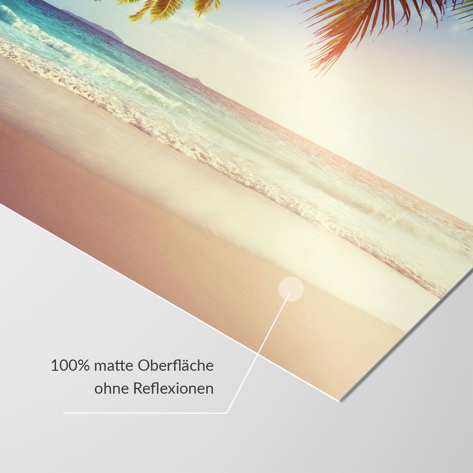 Fototapeta - plaża, palmy, morze