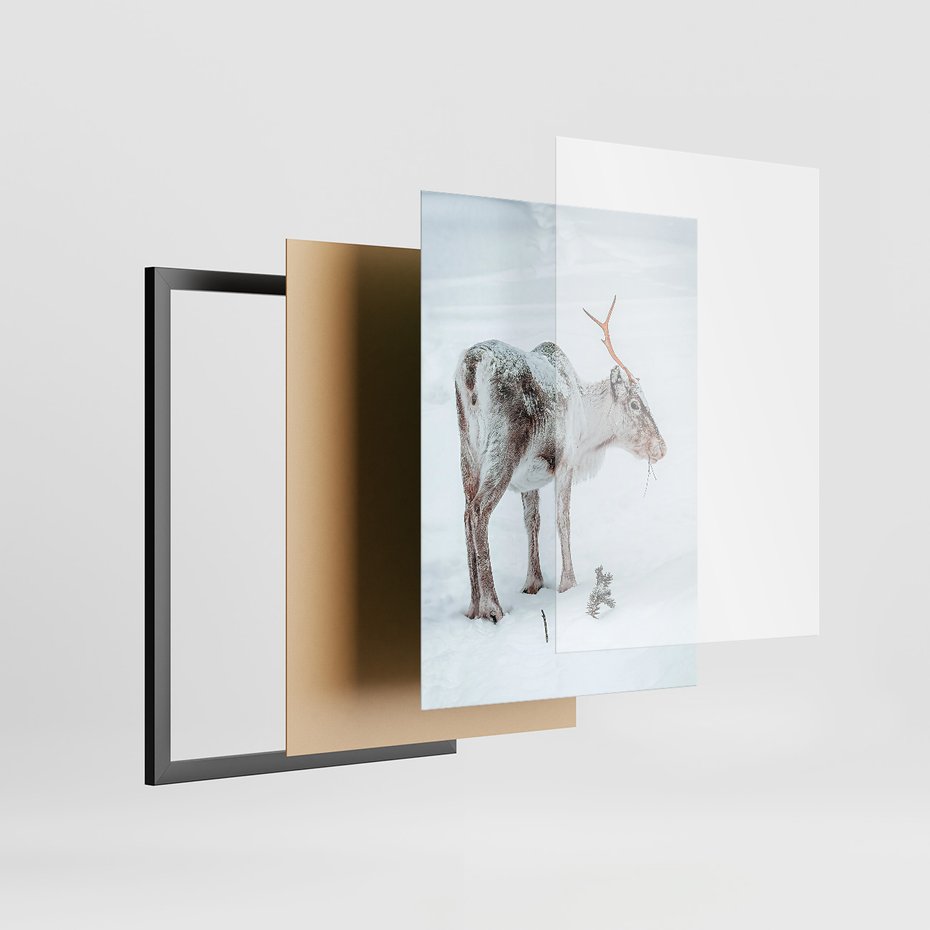 Zestaw obrazy w ramie, plakaty - renifer, śnieg, zima - rama czarna
