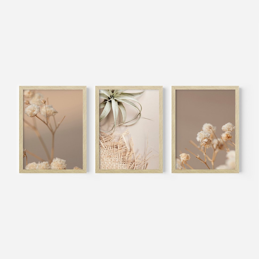 Zestaw obrazy w ramie, plakaty - kwiaty, roślina, suszone - rama drewno