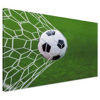 Obraz na płótnie - piłka, bramka, gol