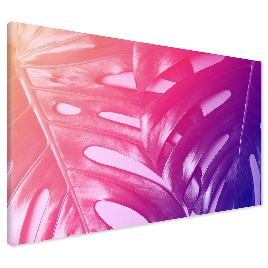 Obraz na płótnie - monstera, liście, gradient