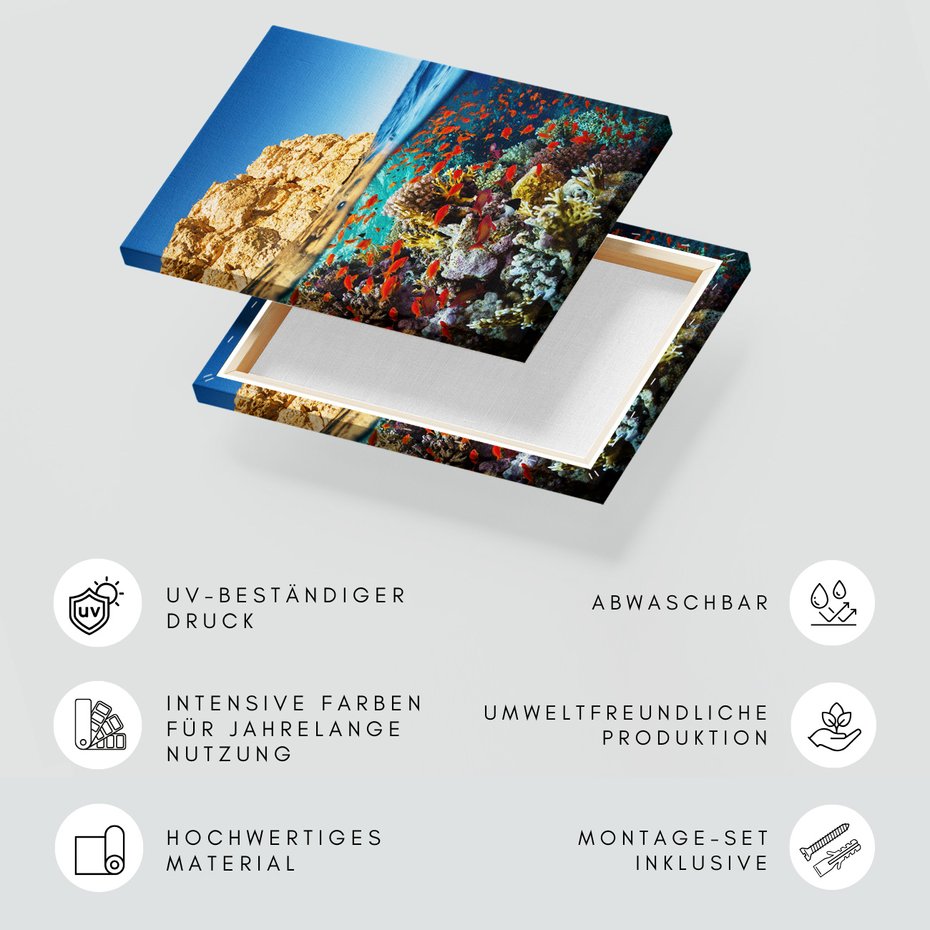 Obraz na płótnie - podwodny, rafa koralowa, ryby