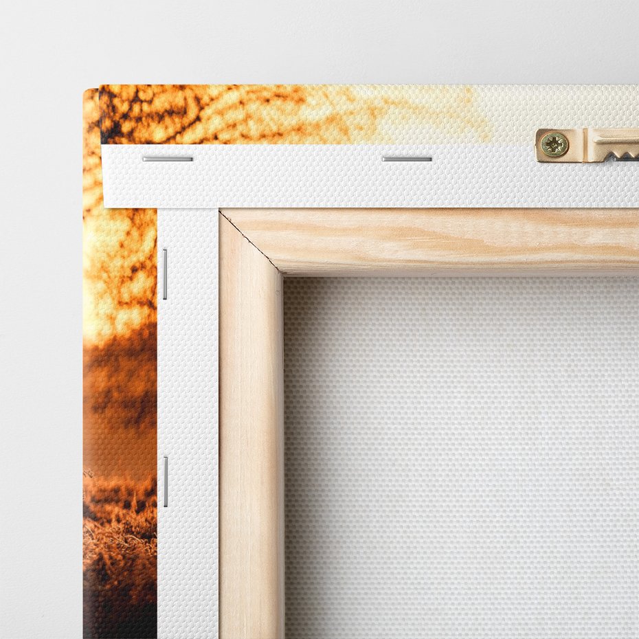 Obraz na płótnie - jeleń, natura, krajobraz