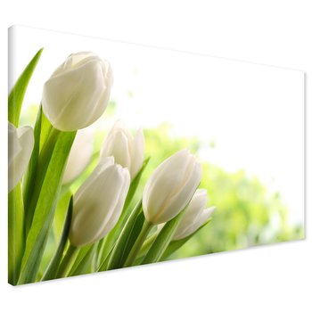 Obraz na płótnie - tulipany, kwiaty, wiosna