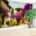 Fototapeta - uliczka, kwiaty, budynki