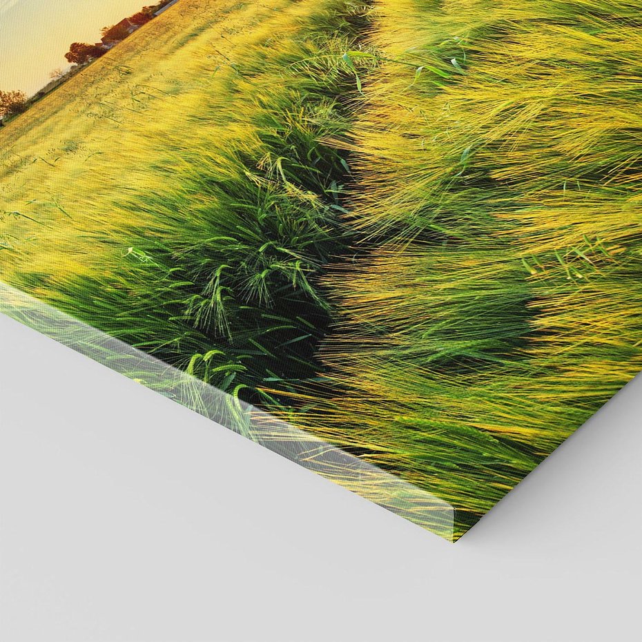 Obraz na płótnie - pole, zboże, lato