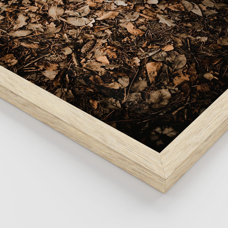 Zestaw obrazy w ramie, plakaty - liście, jesień, brązowy - rama drewno