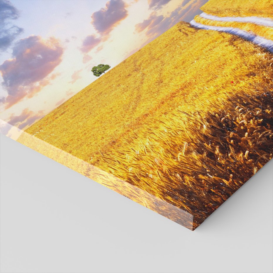 Obraz na płótnie - pole, drzewo, niebo