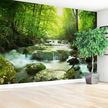 Fototapeta - las, rzeka, wodospad