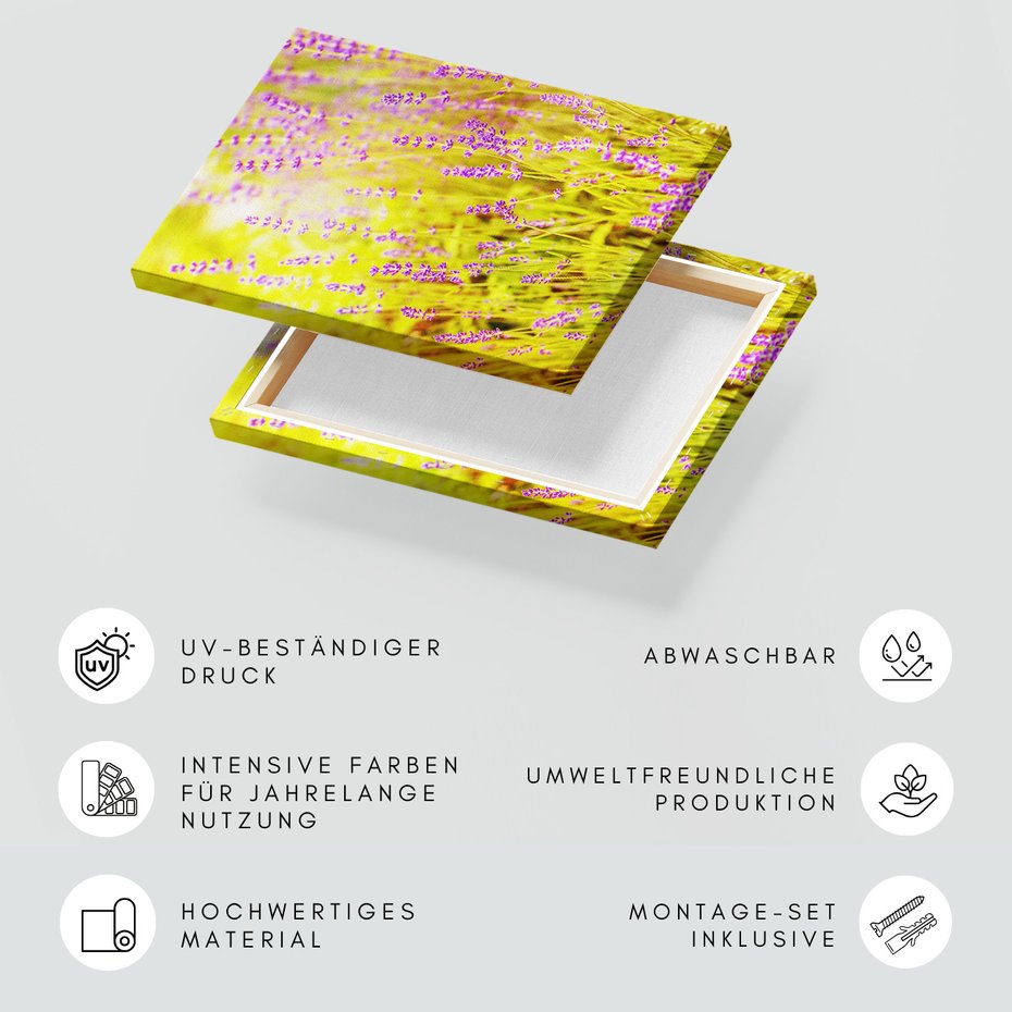 Obraz na płótnie - lawenda, kwiaty, natura