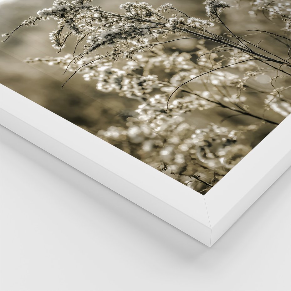 Zestaw obrazy w ramie, plakaty - natura, rośliny, góry - rama biała