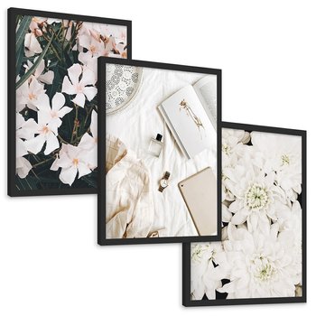 Zestaw obrazy w ramie, plakaty - kwiaty, biały, roślina - rama czarna