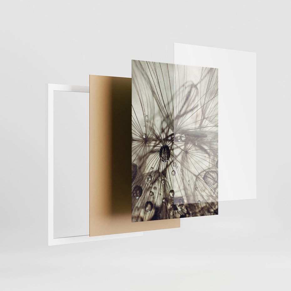 Zestaw obrazy w ramie, plakaty - makro, natura, roślina - rama biała