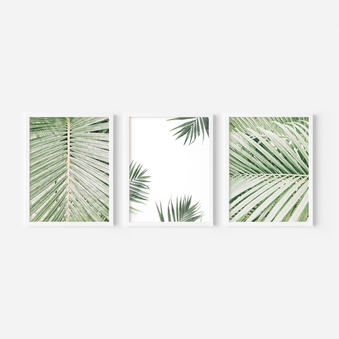 Zestaw obrazy w ramie, plakaty - liście, palmy, tropikalne - rama biała