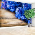 Fototapeta - kwiaty, drewno, niebieski