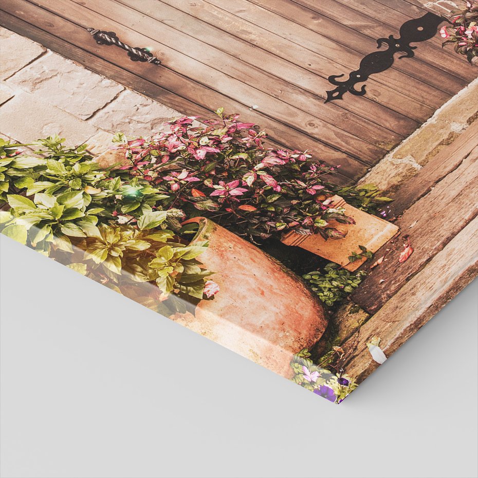 Obraz na płótnie - drzwi, kwiaty, rośliny