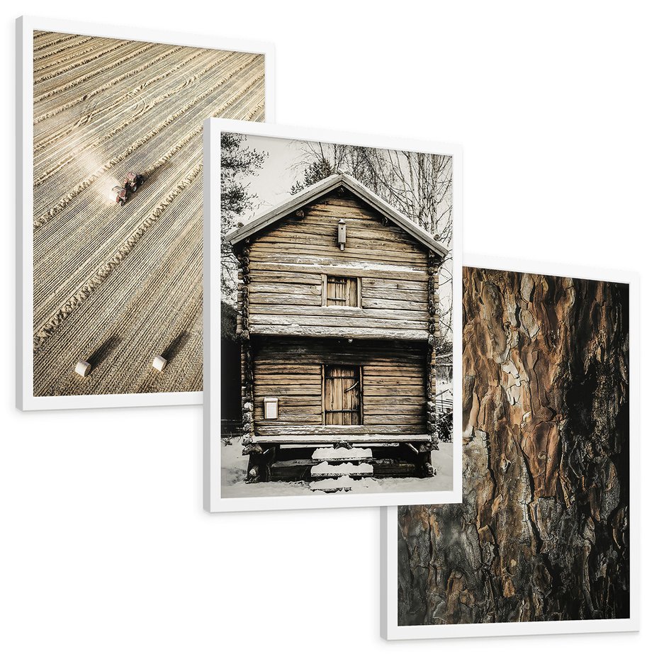 Zestaw obrazy w ramie, plakaty - ziemia, traktor, kora - rama biała